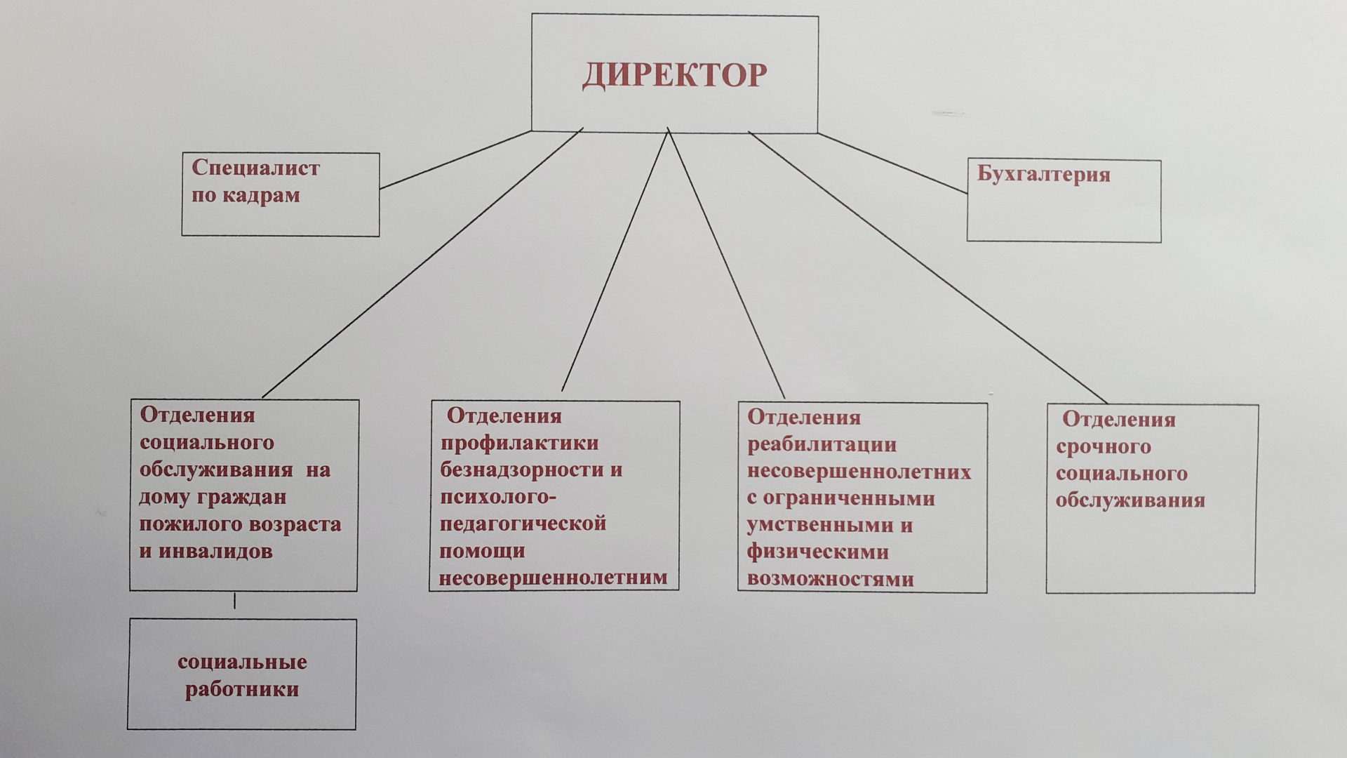 Структура организации
